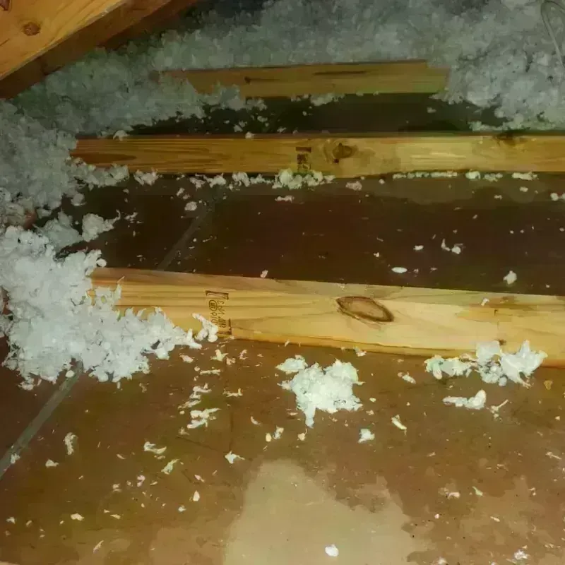 Attic Water Damage in New Preston, CT